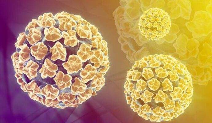 80%女生都会感染的性病病毒hpv,你知道多少?